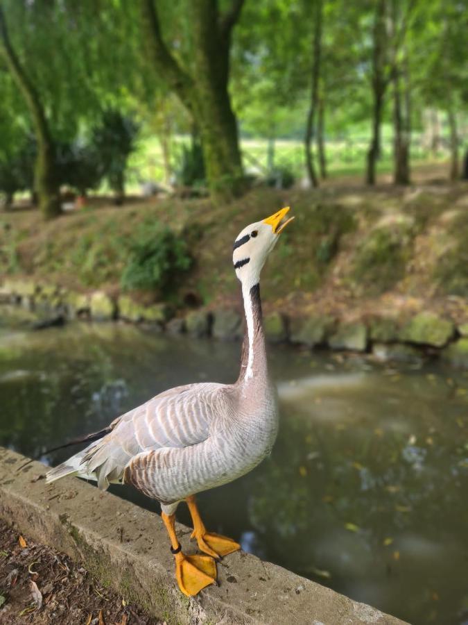 אויארצון Agroturismo Anziola מראה חיצוני תמונה